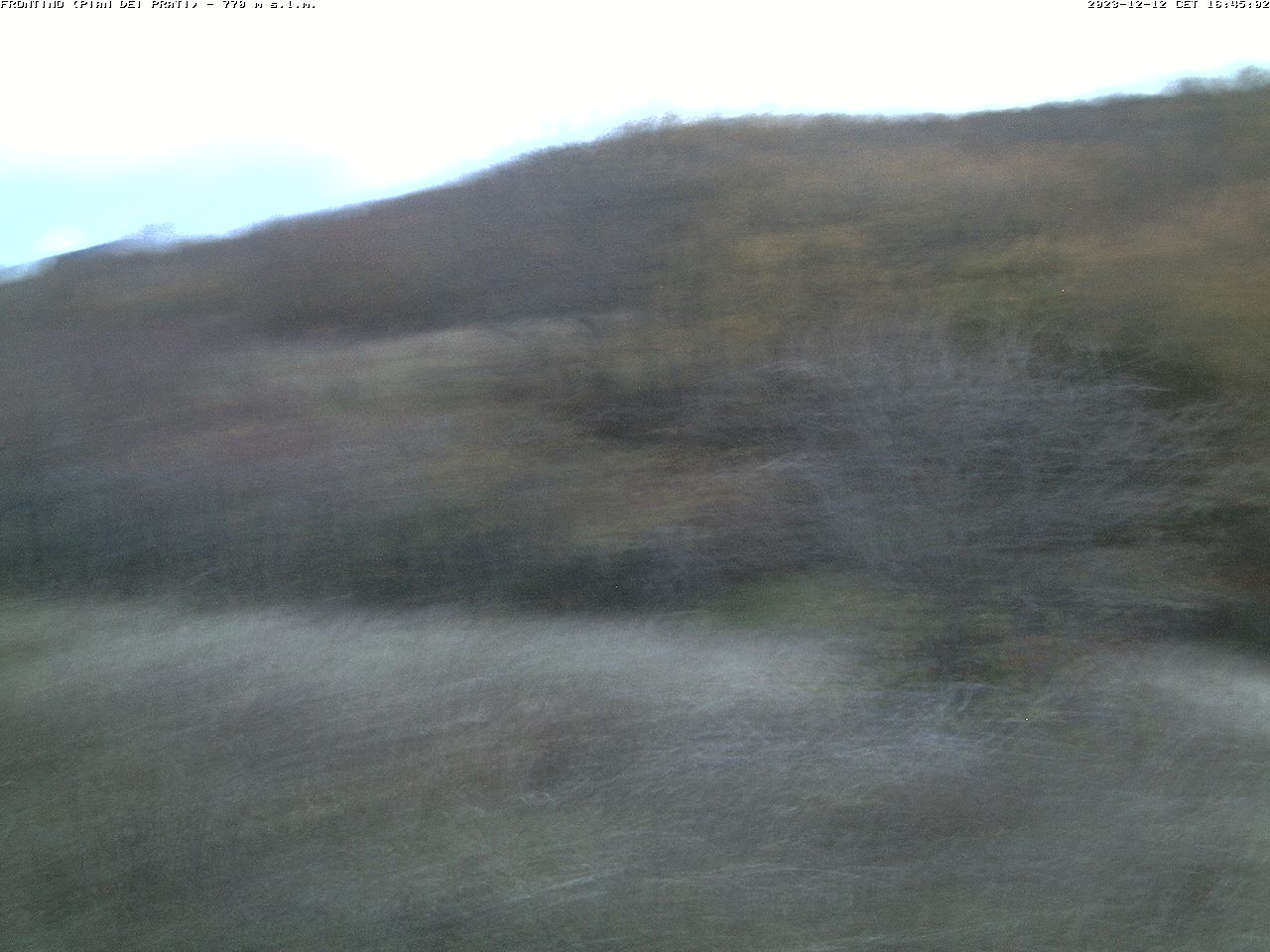 Camera Live Image